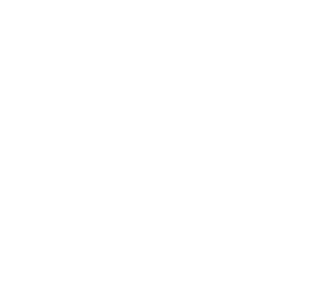 rays
