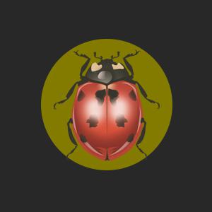 ladybugs good luck