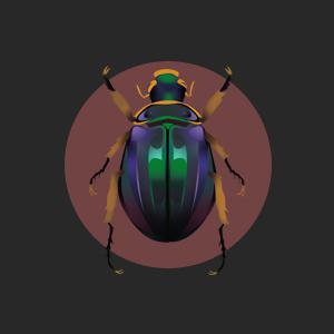 scarab beetle good luck